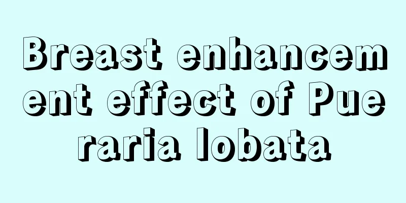 Breast enhancement effect of Pueraria lobata