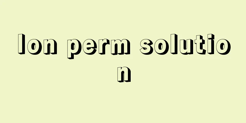 Ion perm solution