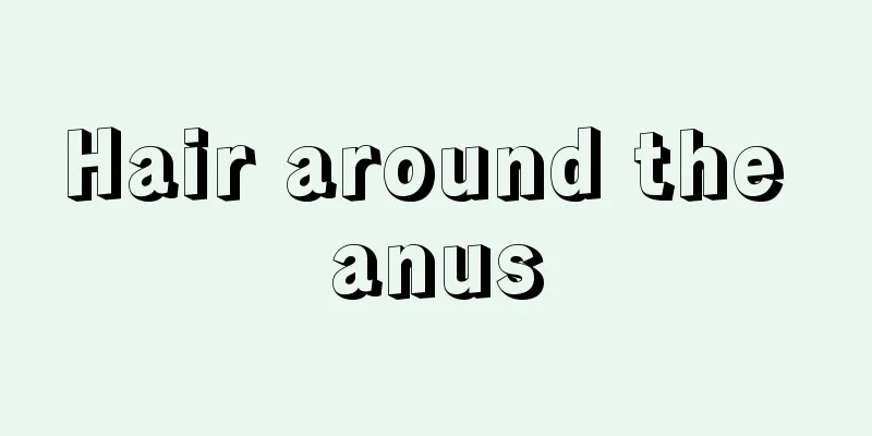 Hair around the anus