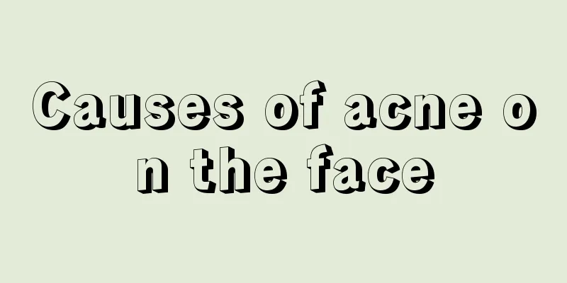 Causes of acne on the face