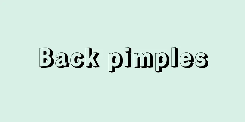 Back pimples