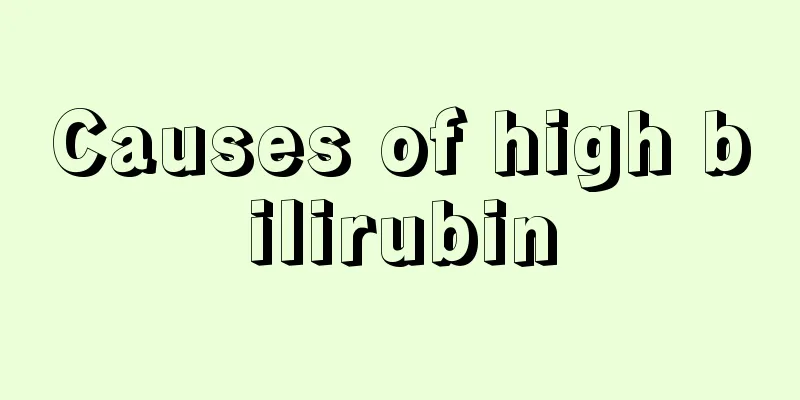 Causes of high bilirubin