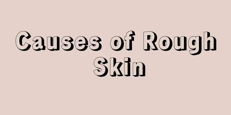 Causes of Rough Skin