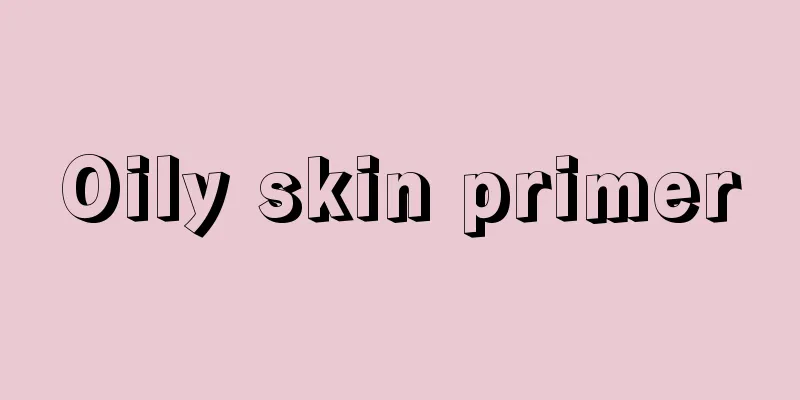 Oily skin primer