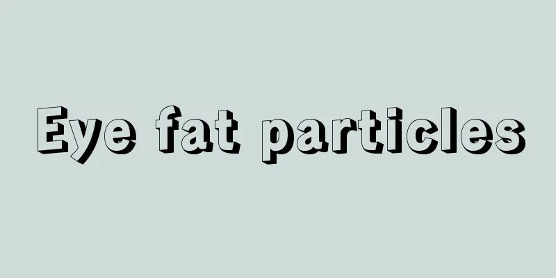 Eye fat particles