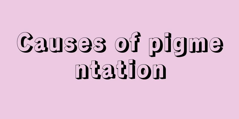 Causes of pigmentation