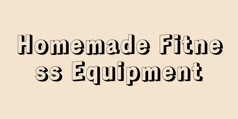 Homemade Fitness Equipment