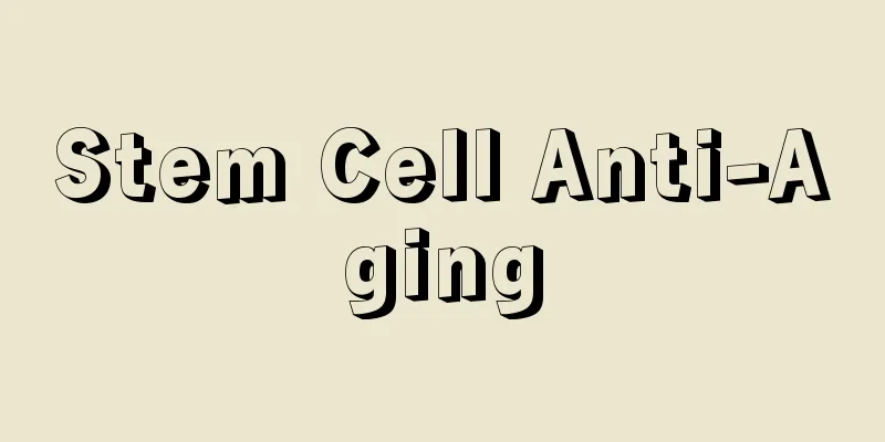 Stem Cell Anti-Aging