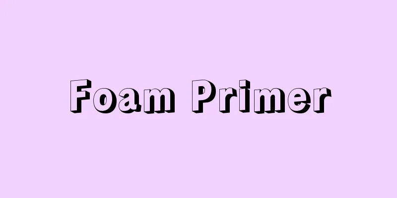 Foam Primer