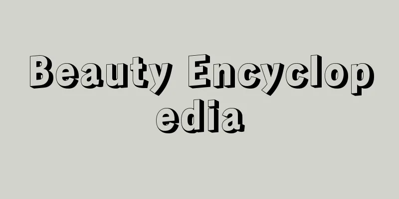 Beauty Encyclopedia