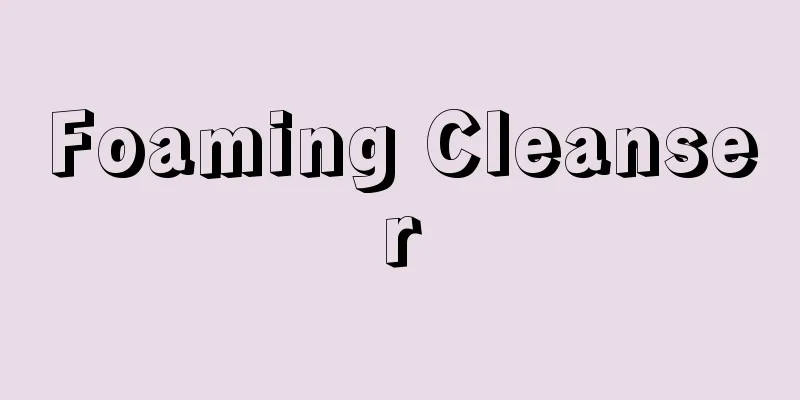 Foaming Cleanser