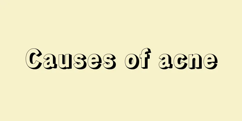 Causes of acne