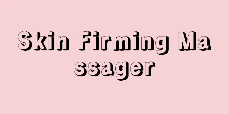 Skin Firming Massager