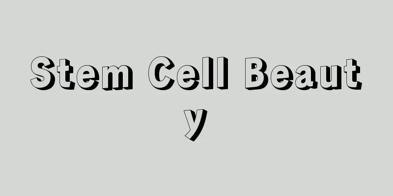 Stem Cell Beauty