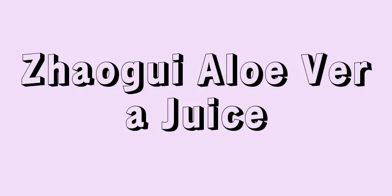 Zhaogui Aloe Vera Juice