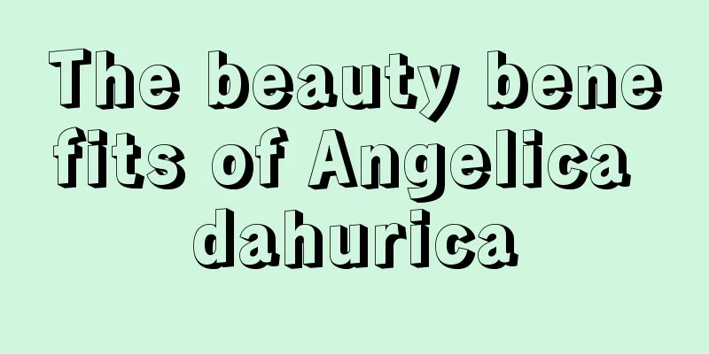 The beauty benefits of Angelica dahurica